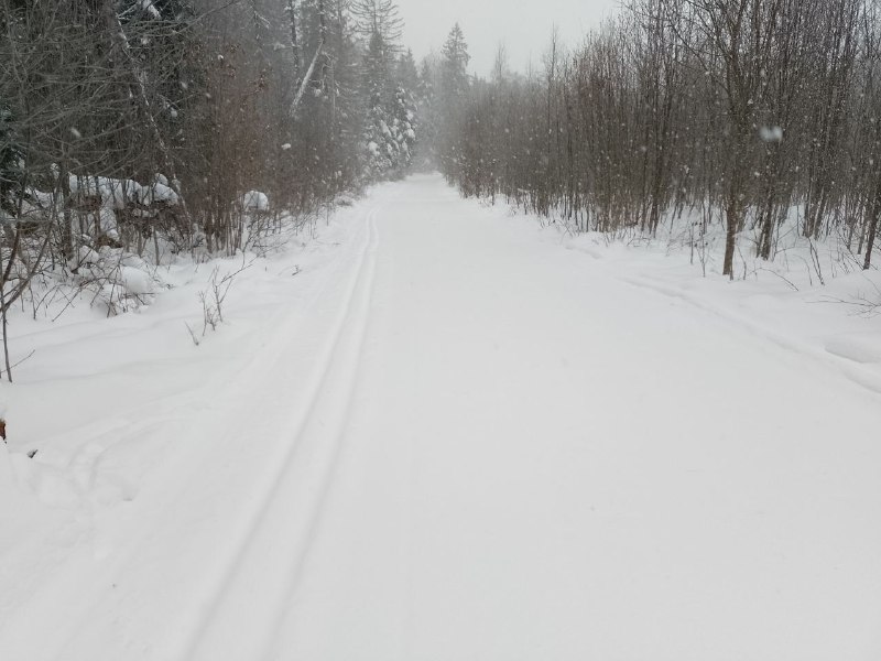 foto_2. 