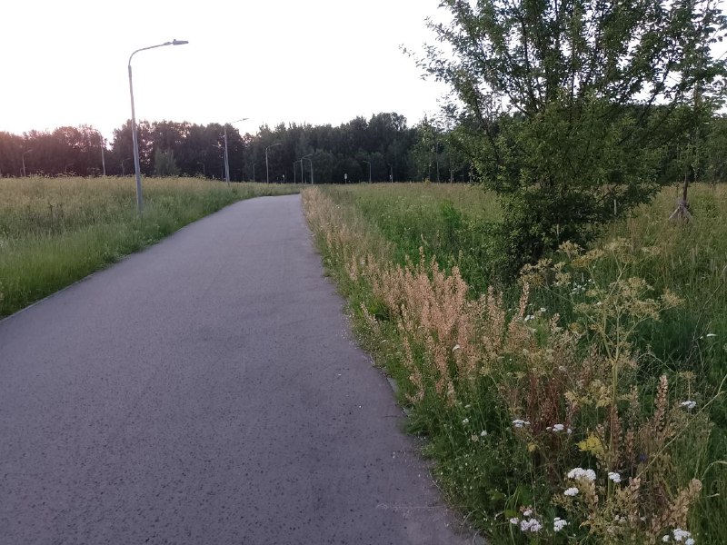 foto_2. 