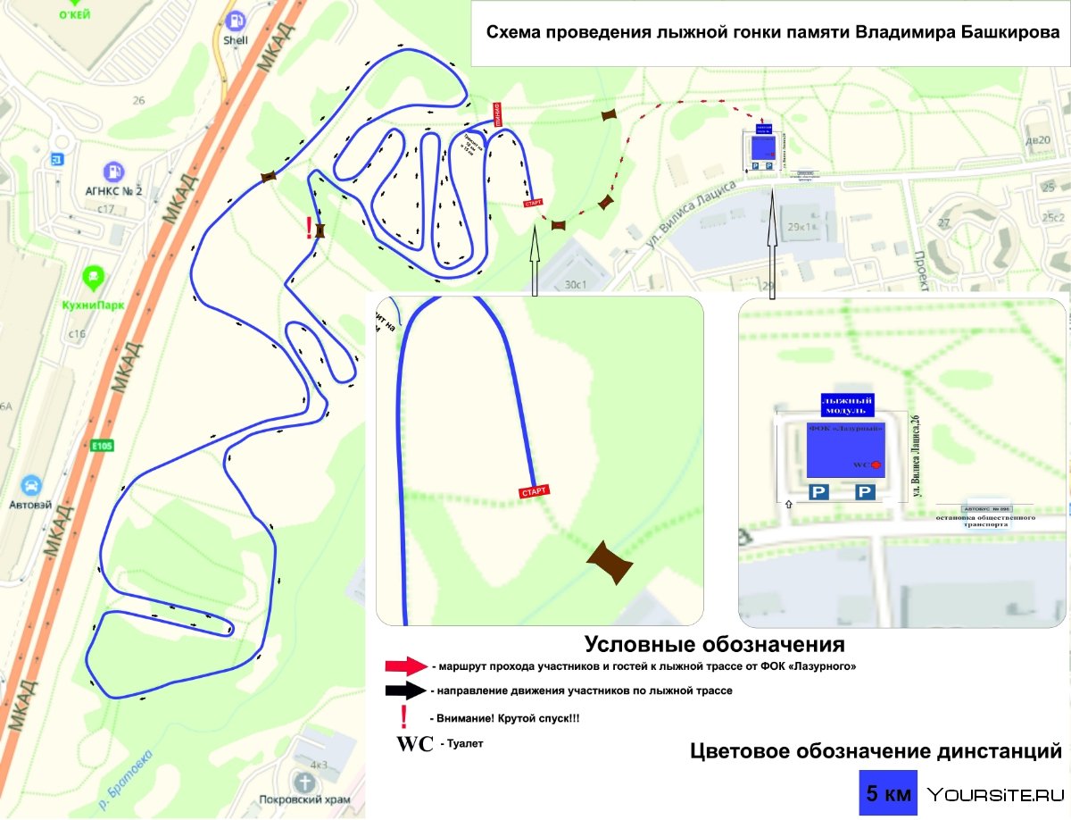 Алешкино лыжероллерная трасса вид 2.  