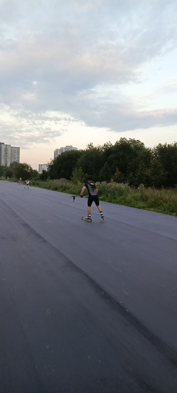 Алешкино лыжероллерная трасса вид 8.  