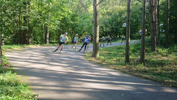 Дмитров ЦЗВС лыжероллерная трасса вид 7.  