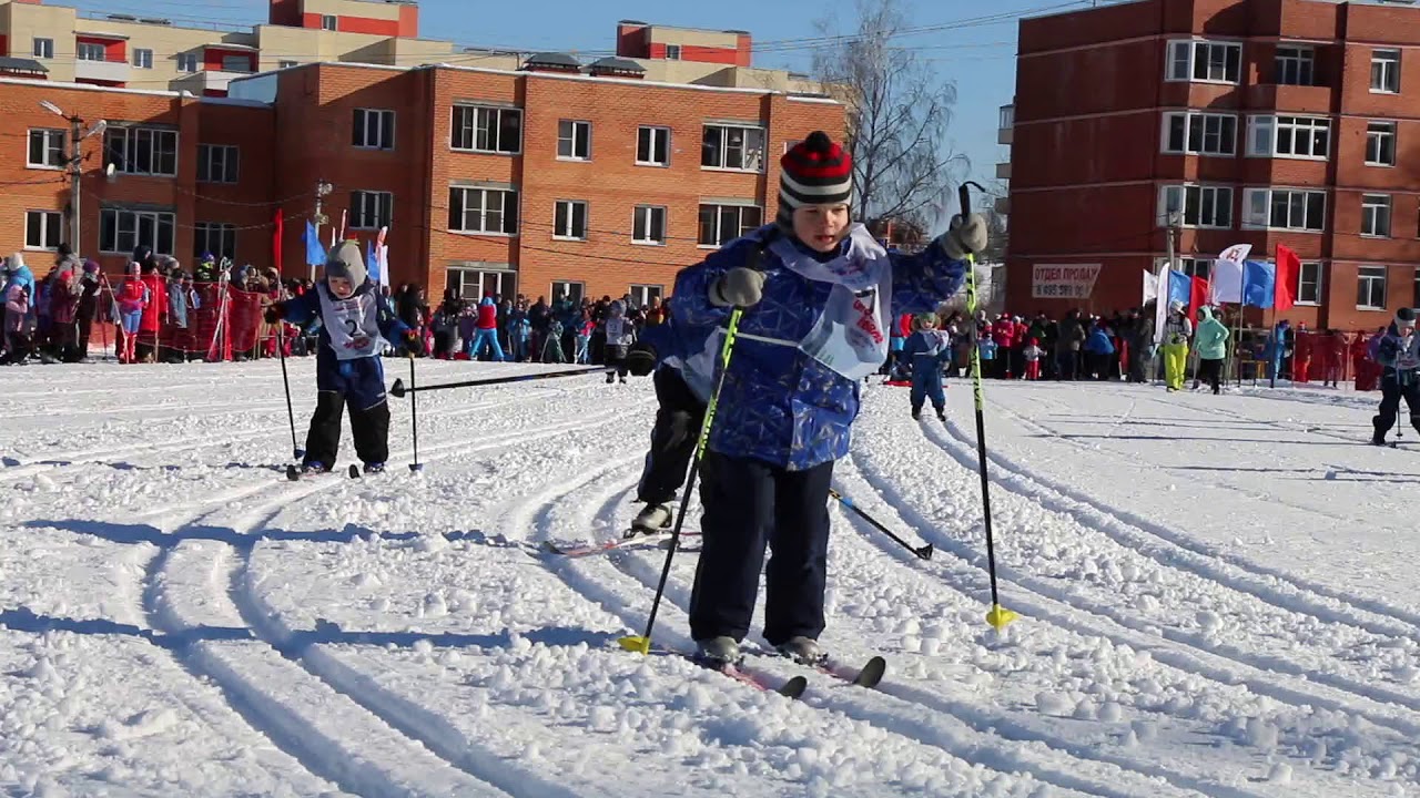 Дмитров ЦЗВС лыжероллерная трасса вид 2.  
