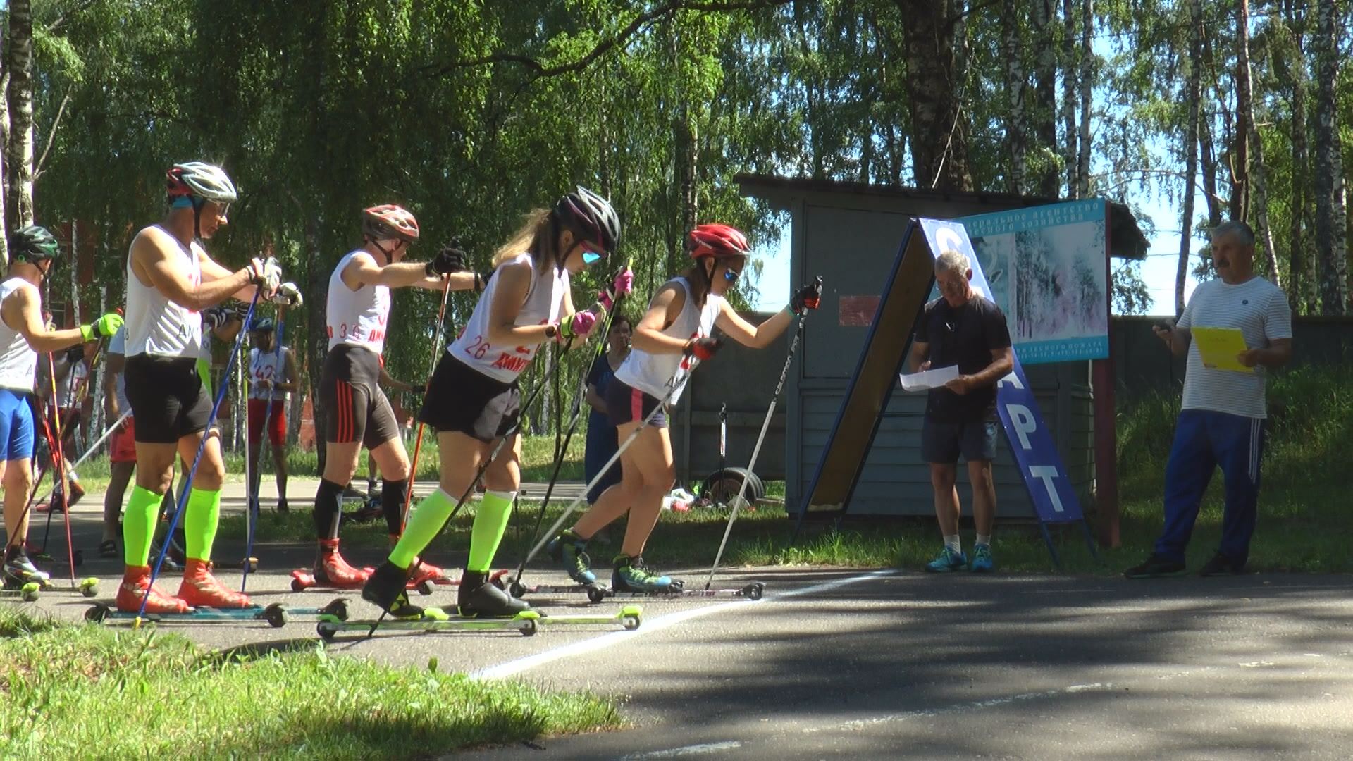 Дмитров ЦЗВС лыжероллерная трасса вид 8.  