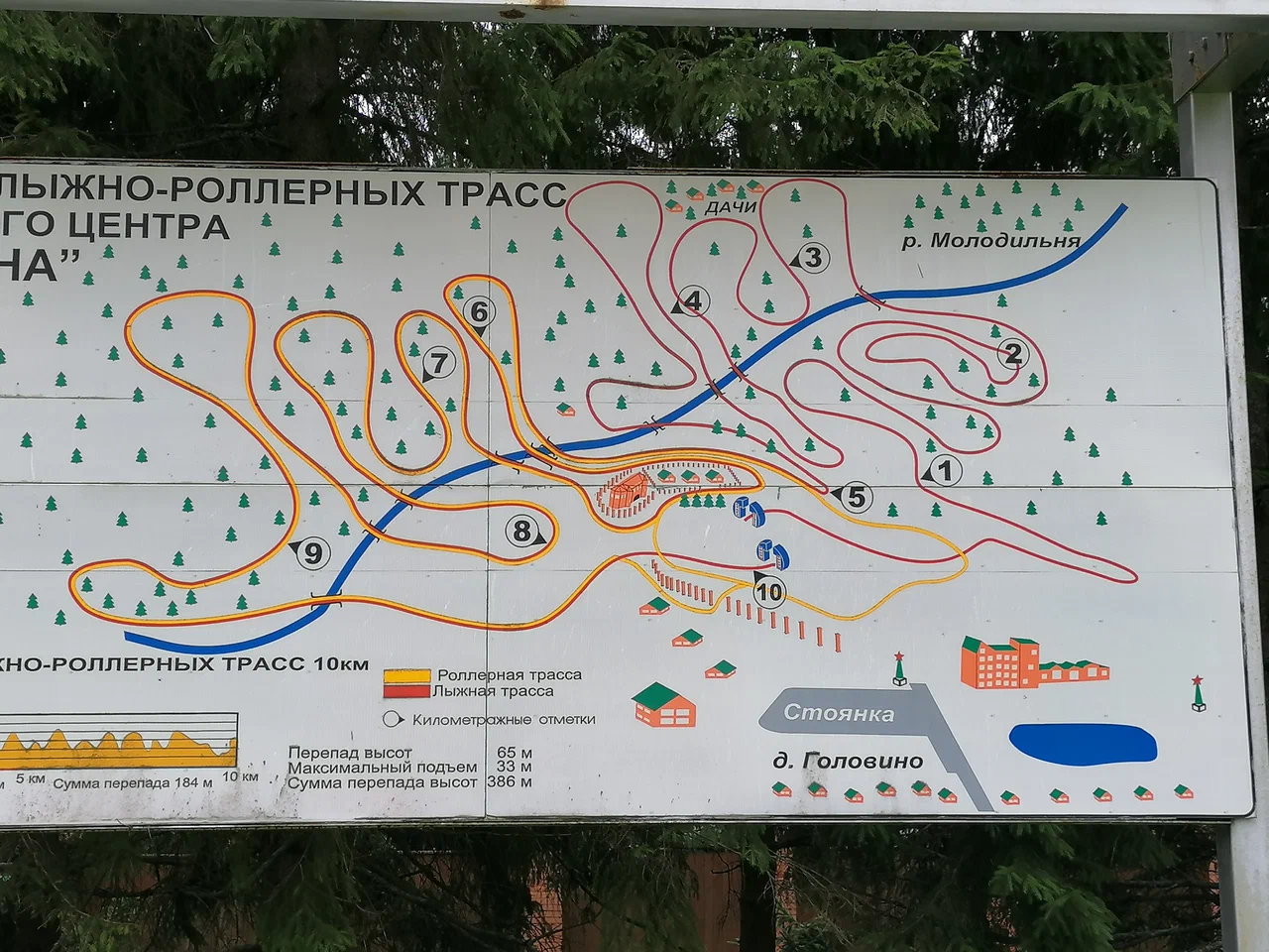 Головино лыжероллерная трасса вид 5.  