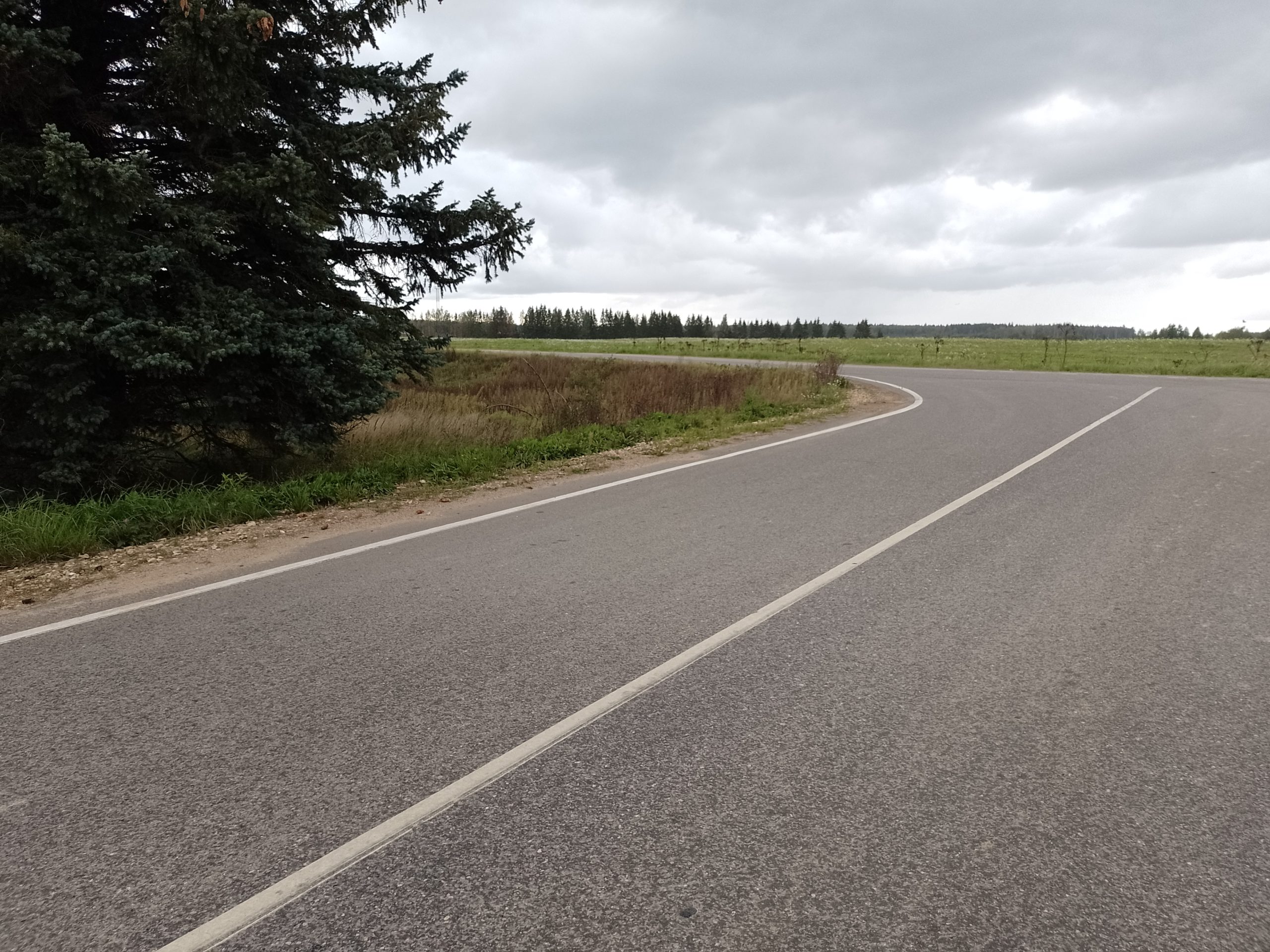 Н Горбово — Лызлово место для катания на лыжероллерах, автодорога вид 3.  