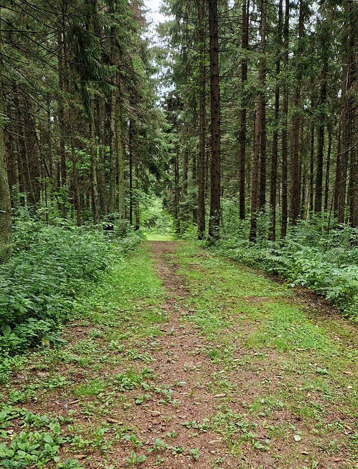 ГАБО лыжная трасса вид 20.  