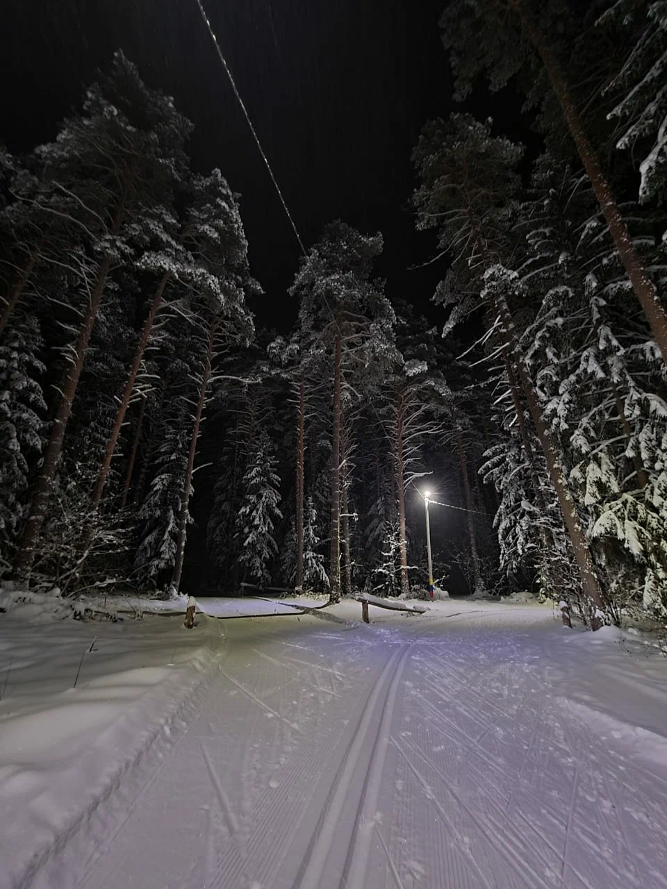 Наседкина лыжная трасса вид 2.  