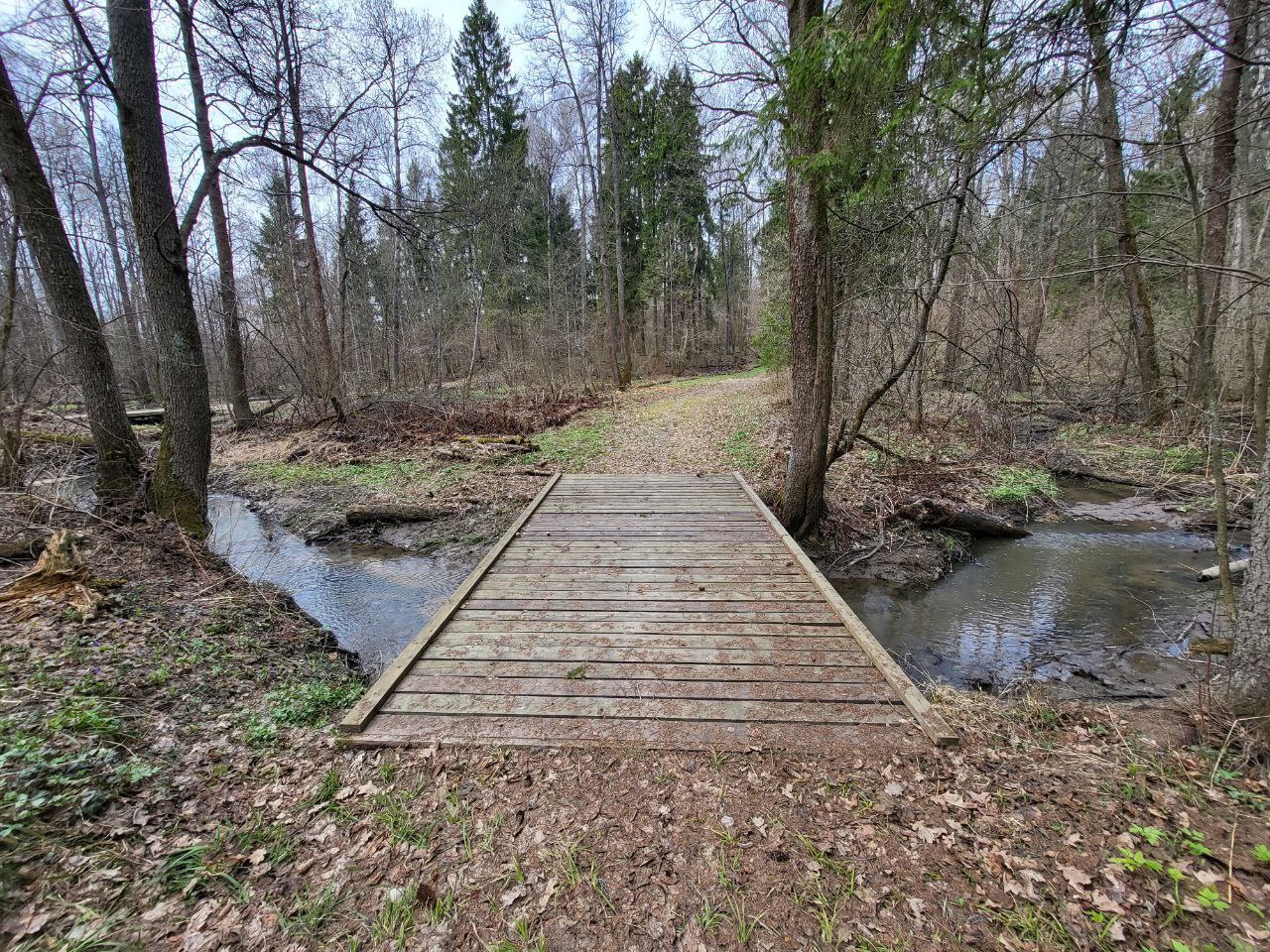 Нововоронино лыжная трасса вид 12.  