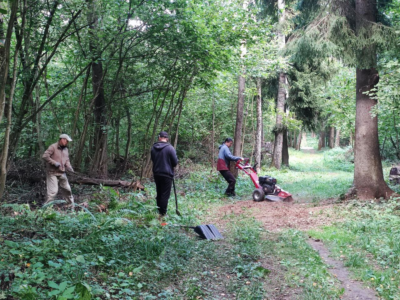 Нововоронино лыжная трасса вид 14.  