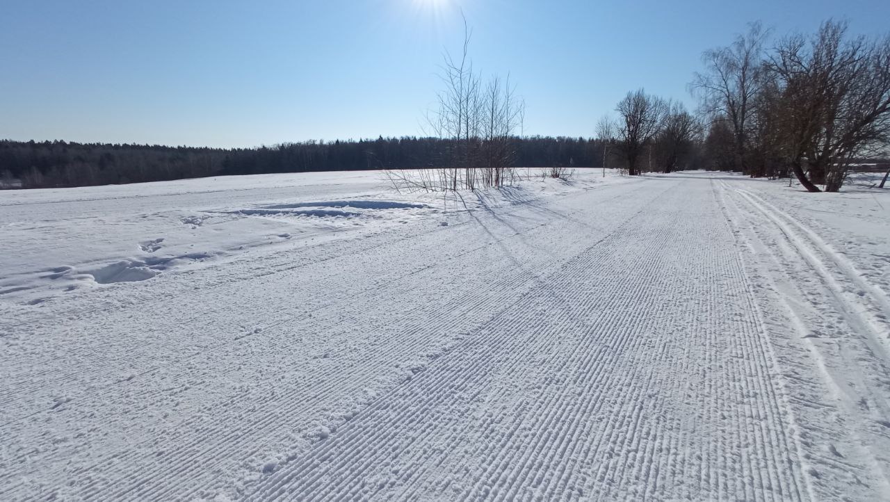 Нововоронино лыжная трасса вид 9.  