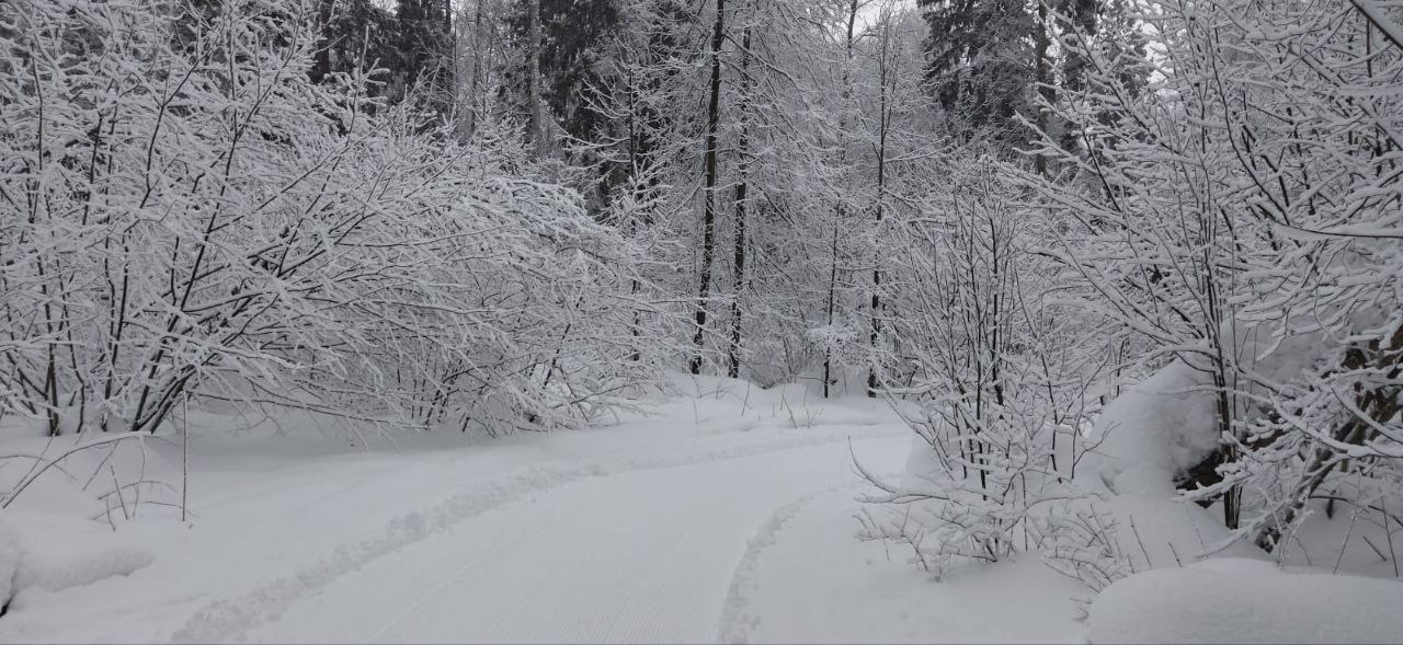 Нововоронино лыжная трасса вид 1.  