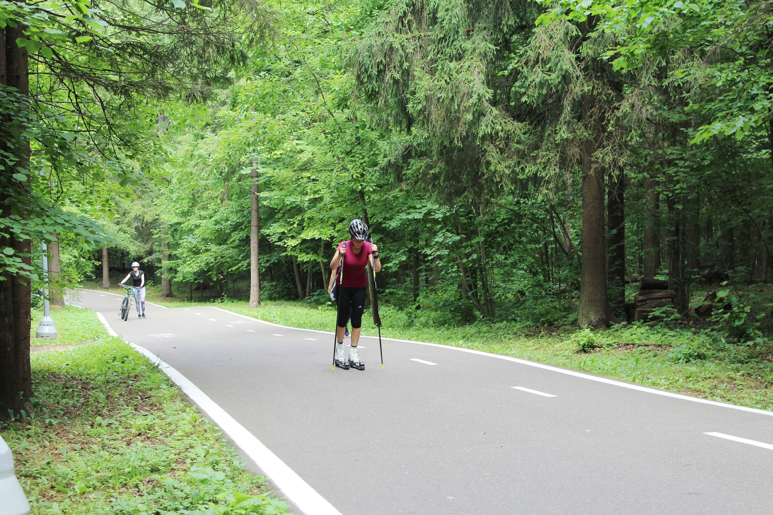 Одинцово лыжероллерная трасса вид 14.  