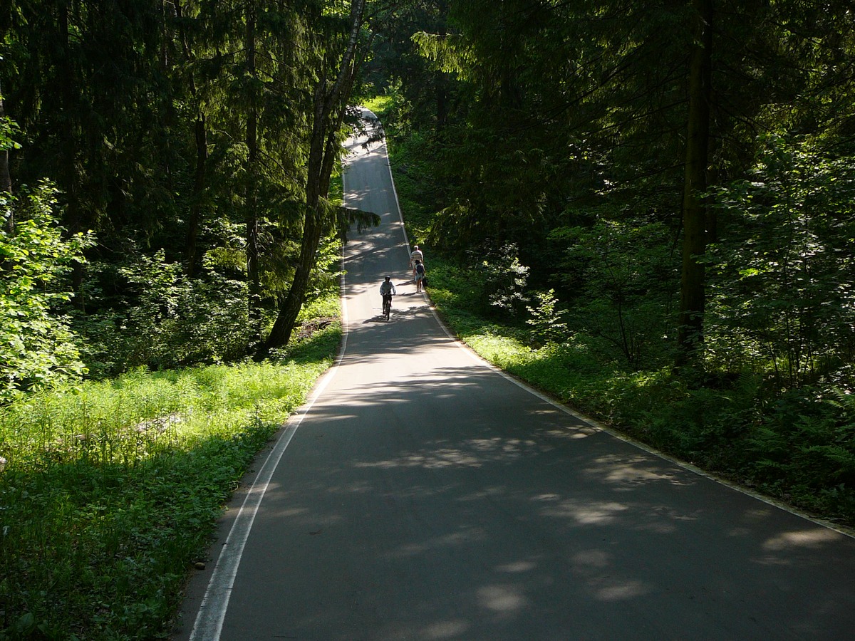 Одинцово лыжероллерная трасса вид 11.  