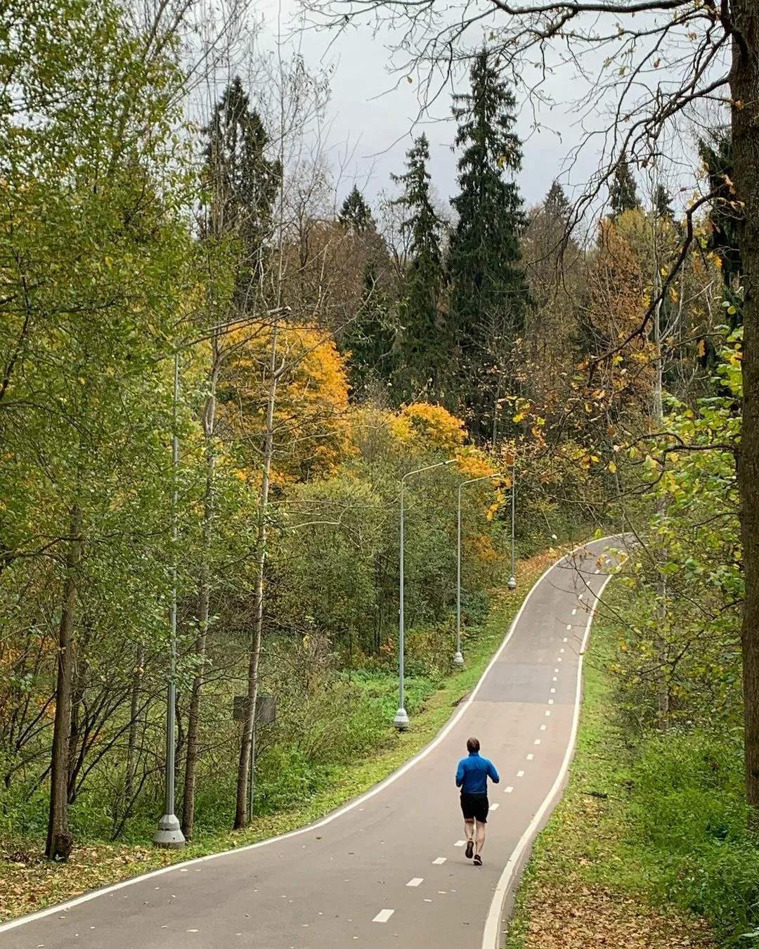 Одинцово лыжероллерная трасса вид 9.  