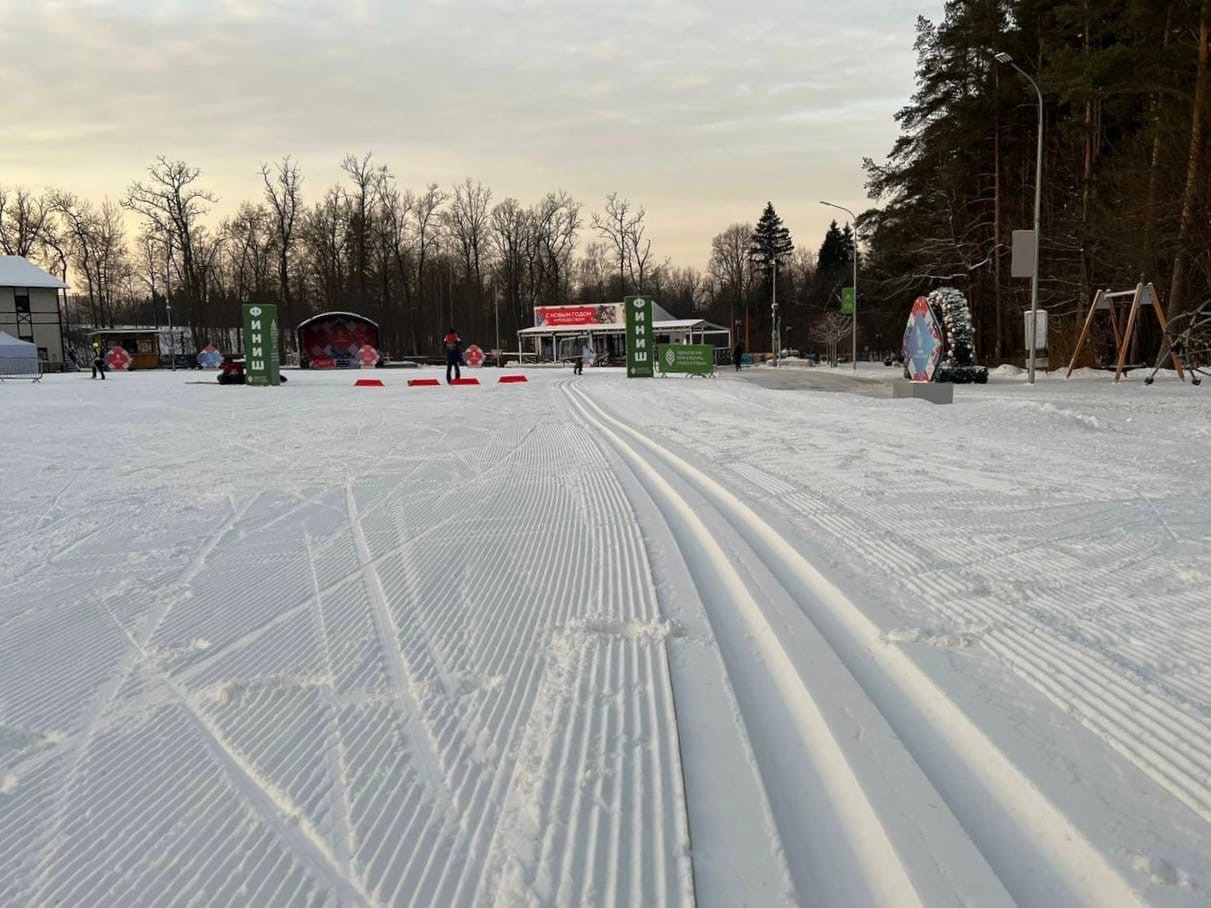 Одинцово лыжероллерная трасса вид 5.  