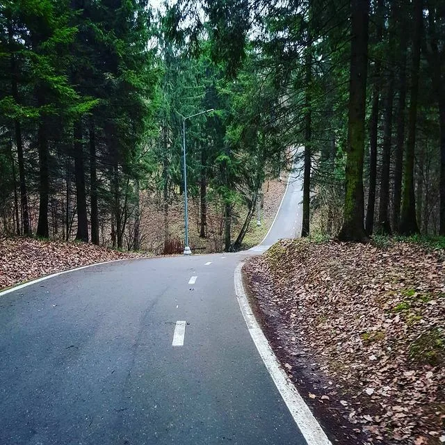 Одинцово лыжероллерная трасса вид 12.  