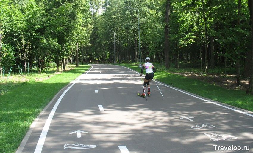 Одинцово лыжероллерная трасса вид 13.  