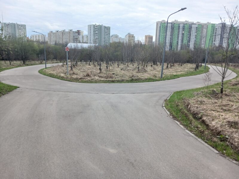 Трасса лыжероллерная Алешкино, состояние на 17 апреля 2026 по отзыву, фото 1. 