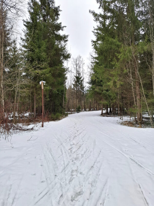 Трасса лыжная ГАБО, состояние на 11 апреля 2026 по отзыву, фото 1. 