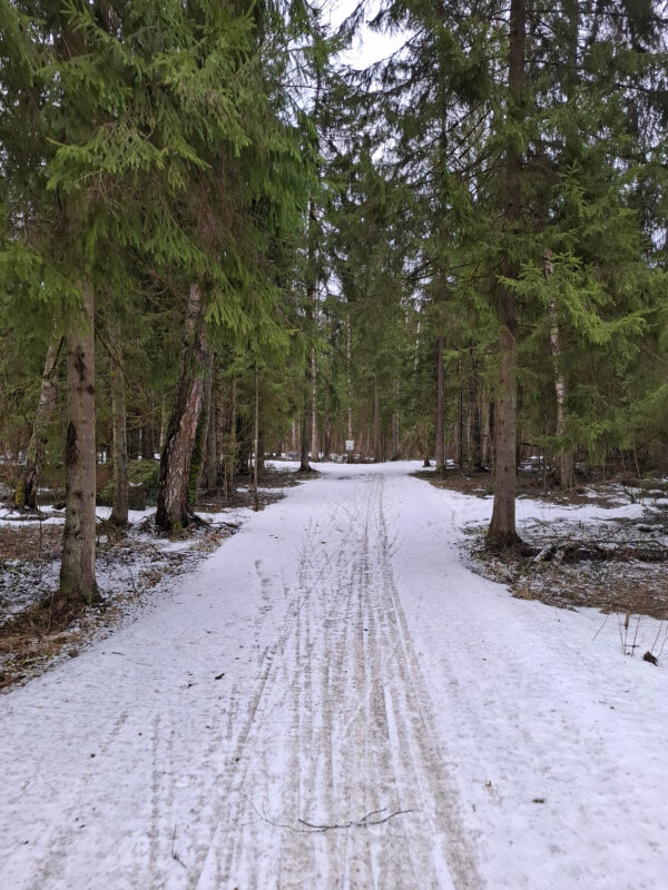 Трасса лыжная ГАБО, состояние на 11 апреля 2026 по отзыву, фото 1. 
