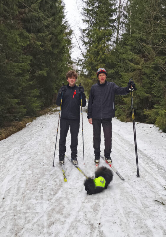 Трасса лыжная ГАБО, состояние на 12 апреля 2026 по отзыву, фото 1. 