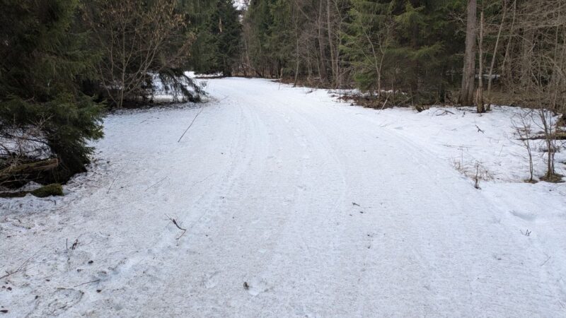 Трасса лыжная ГАБО, состояние на 12 апреля 2026 по отзыву, фото 3. 