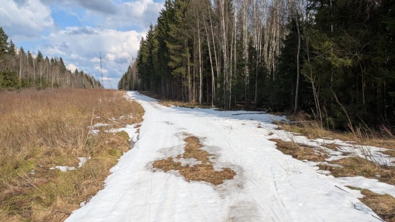 Трасса лыжная ГАБО, состояние на 12 апреля 2026 по отзыву, фото 4. 