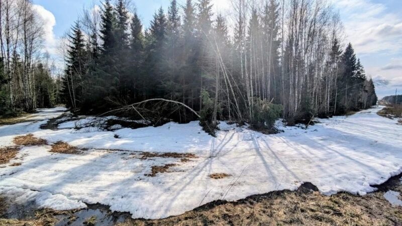 Трасса лыжная ГАБО, состояние на 12 апреля 2026 по отзыву, фото 5. 