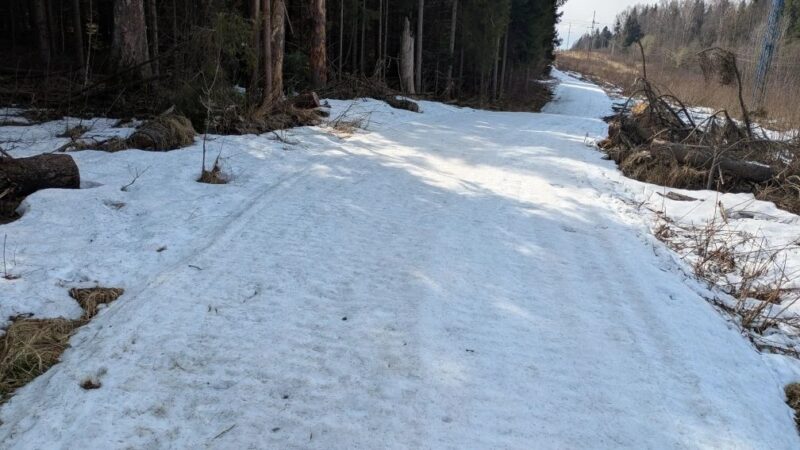 Трасса лыжная ГАБО, состояние на 12 апреля 2026 по отзыву, фото 2. 