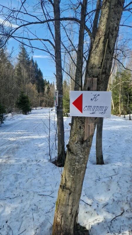 Трасса лыжная ГАБО, состояние на 4 апреля 2026 по отзыву, фото 1. 