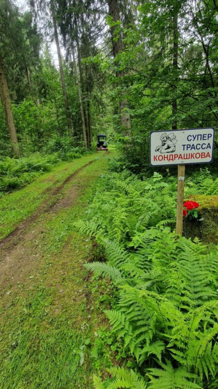 Трасса лыжная ГАБО, состояние на 4 июля 2025 по отзыву, фото 4. 