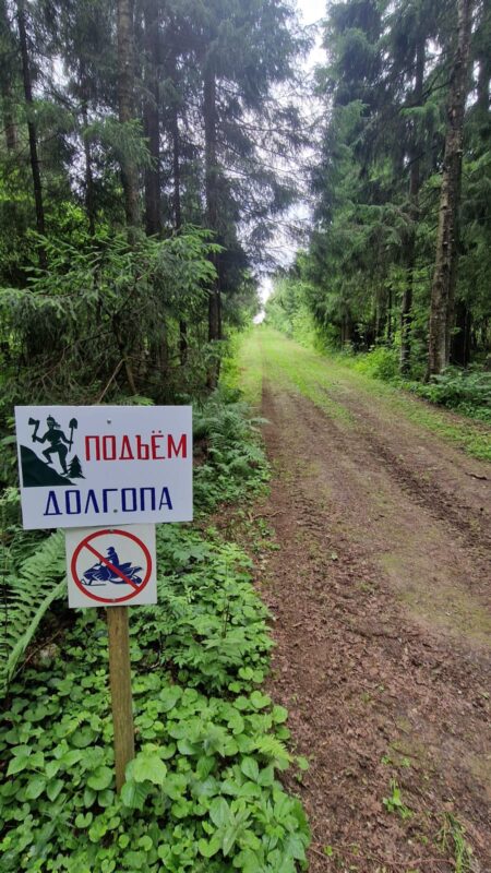 Трасса лыжная ГАБО, состояние на 4 июля 2025 по отзыву, фото 5. 