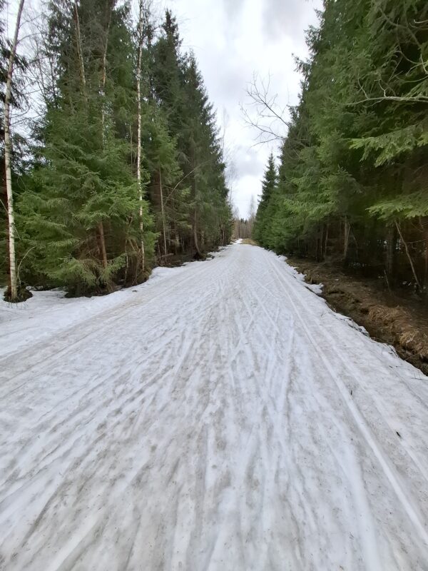 Трасса лыжная ГАБО, состояние на 9 апреля 2026 по отзыву, фото 2. 