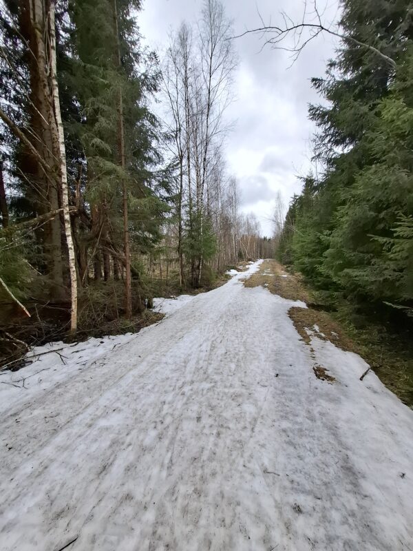 Трасса лыжная ГАБО, состояние на 9 апреля 2026 по отзыву, фото 3. 