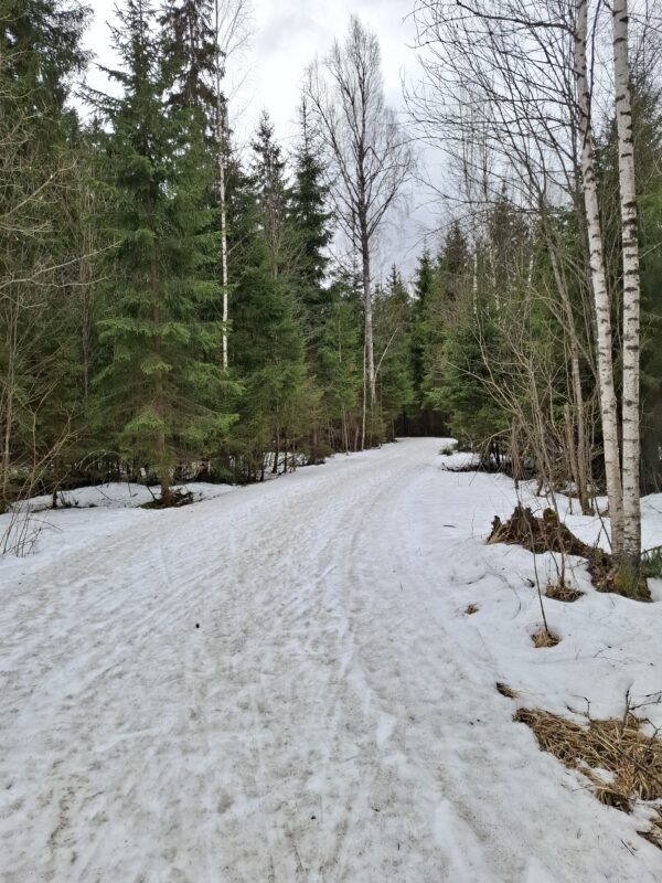 Трасса лыжная ГАБО, состояние на 9 апреля 2026 по отзыву, фото 4. 