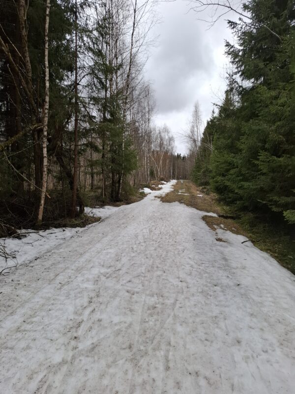 Трасса лыжная ГАБО, состояние на 9 апреля 2026 по отзыву, фото 5. 