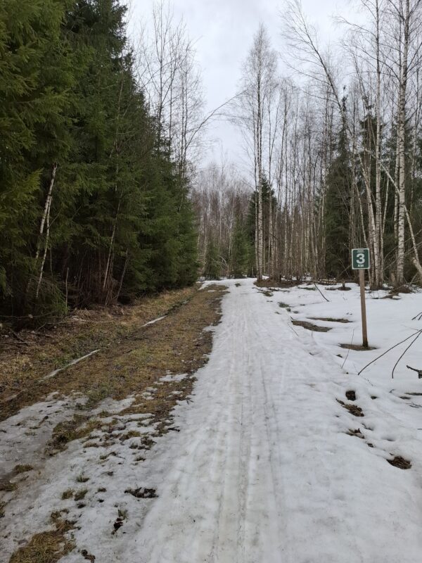 Трасса лыжная ГАБО, состояние на 9 апреля 2026 по отзыву, фото 6. 