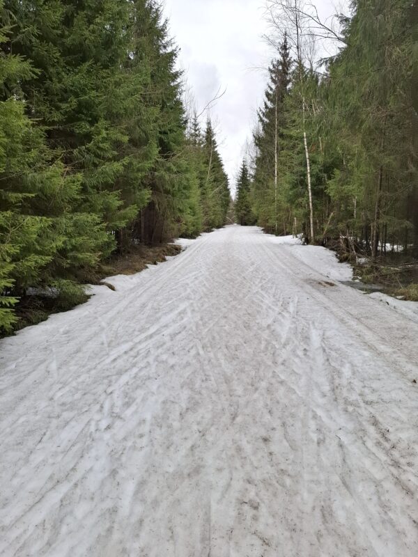 Трасса лыжная ГАБО, состояние на 9 апреля 2026 по отзыву, фото 1. 