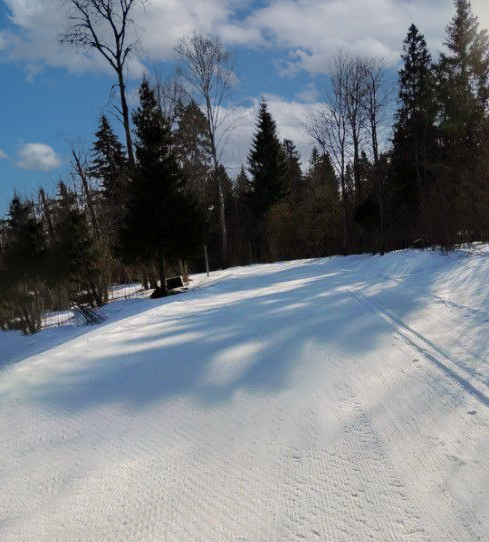 Трасса лыжероллерная Головино, состояние на 29 марта 2026 по отзыву, фото 1. 