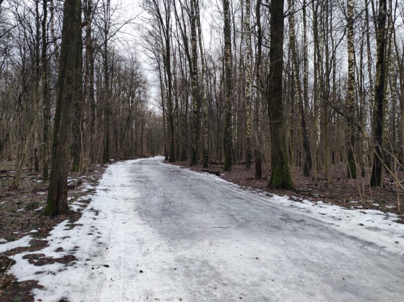 Трасса лыжная Красногорск, состояние на 30 января 2025 по отзыву, фото 4. 