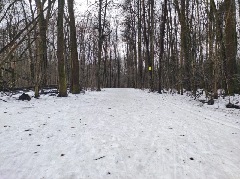 Трасса лыжная Красногорск, состояние на 30 января 2025 по отзыву, фото 1. 