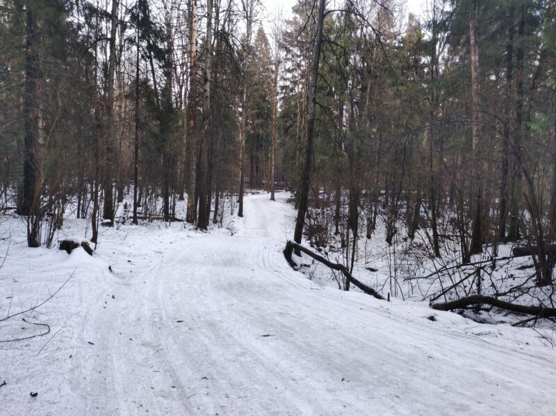 Трасса лыжная Красногорск, состояние на 30 января 2025 по отзыву, фото 14. 