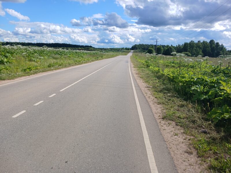 Автодорога (лыжероллеры) Н Горбово — Лызлово, состояние на 28 июня 2026 по отзыву, фото 1. 