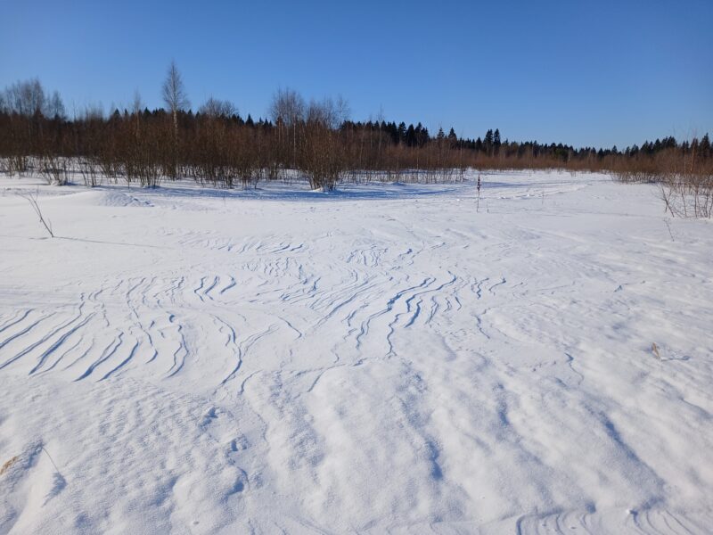 Трасса лыжная Тучково, состояние на 17 февраля 2026 по отзыву, фото 1. 