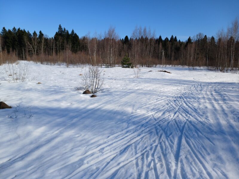 Трасса лыжная Тучково, состояние на 21 марта 2026 по отзыву, фото 2. Поле в углу