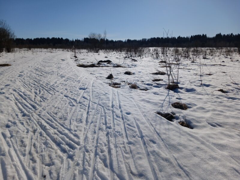 Трасса лыжная Тучково, состояние на 21 марта 2026 по отзыву, фото 1. Поле у дороги