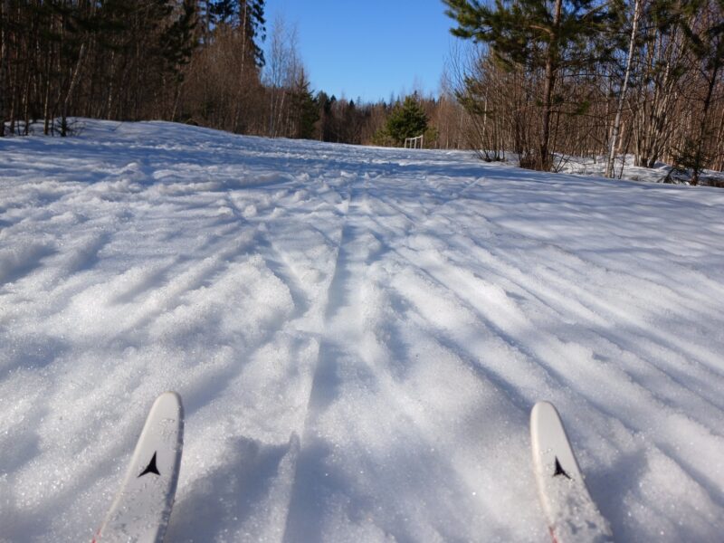 Трасса лыжная Тучково, состояние на 21 марта 2026 по отзыву, фото 4. 