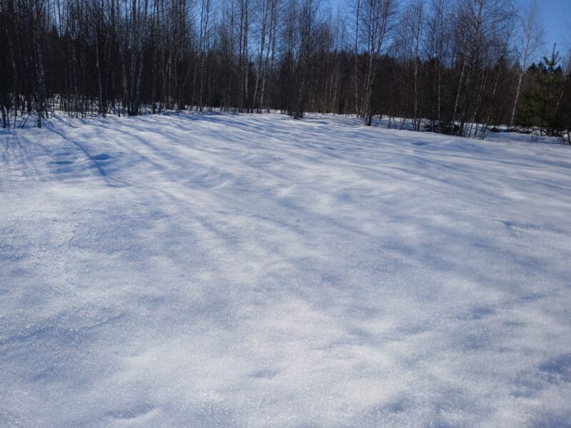 Трасса лыжная Тучково, состояние на 21 марта 2026 по отзыву, фото 3. 
