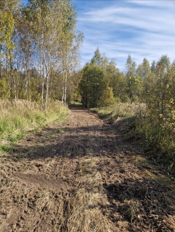 Трасса лыжная Тучково, состояние на 4 октября 2025 по отзыву, фото 5. 