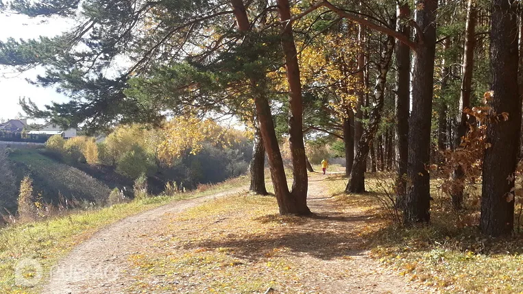 Домодедово лыжная трасса вид 3.  